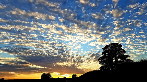 sky dramatic colours clouds tree sunset bromptonbysawdon northyorkshire england