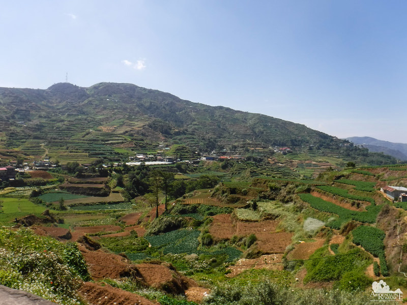 Farms and Terraces in the Halsema Highway