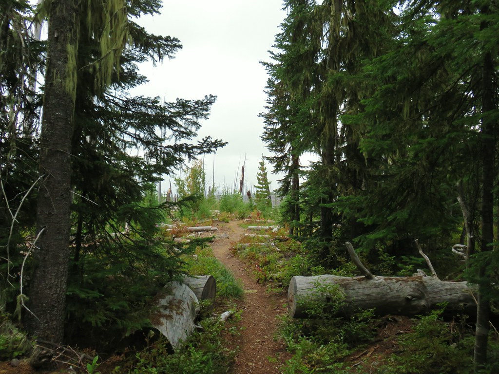 Wahanna Trail