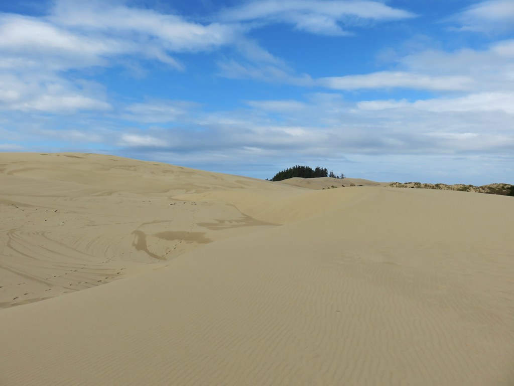 Umpqua Dunes