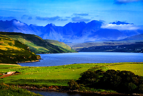 water mountains scotland isleofskye gestofarm sheep field landscape grass sky mountain bay sea loch