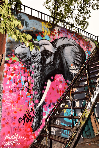 Elephant & Staircase