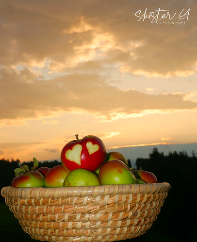 obst fruits äpfel apples morning morgen sonnenaufgang sunrise daham drausen outdoor pisweg kärnten carinthia