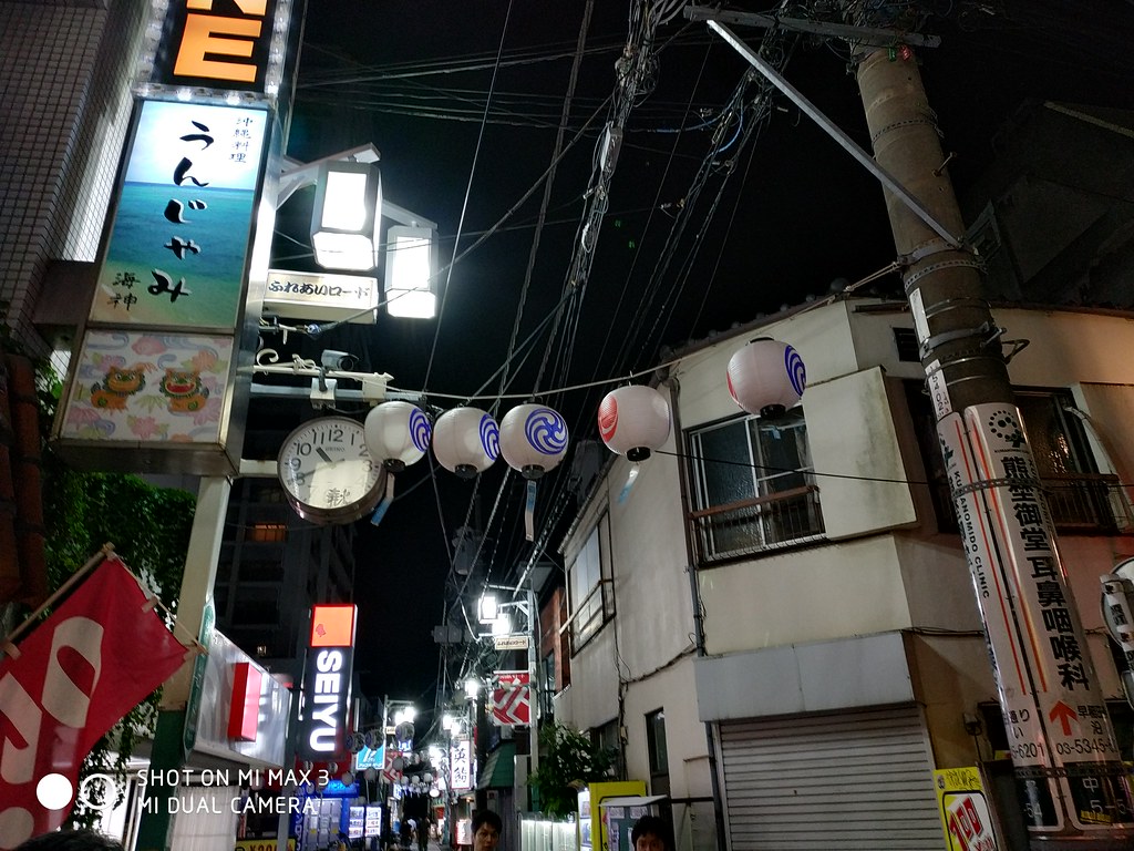 除了電力還有什麼？小米 Max 3 相機日本實拍！貓頭鷹好可愛！ @3C 達人廖阿輝