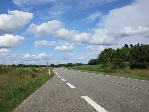 A Danish roadside verge