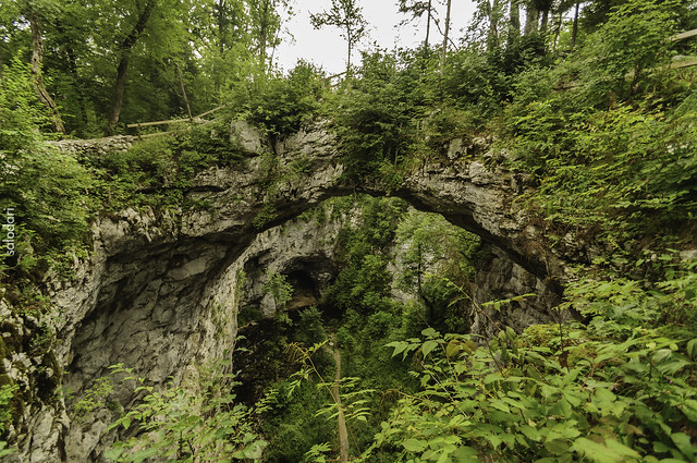 Rakov Škocjan, el valle de las cuevas y los puentes naturales, Nature-Slovenia (8)