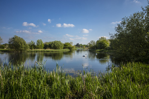canon6d landscape water lake reflection trees reeds nature outdoors uk cambridgeshire