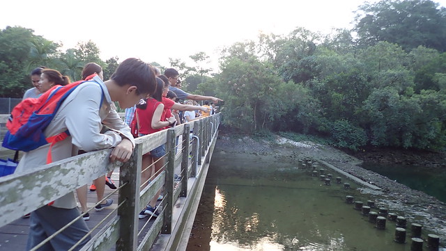Pasir Ris tour with the Naked Hermit Crabs, Sep 2018