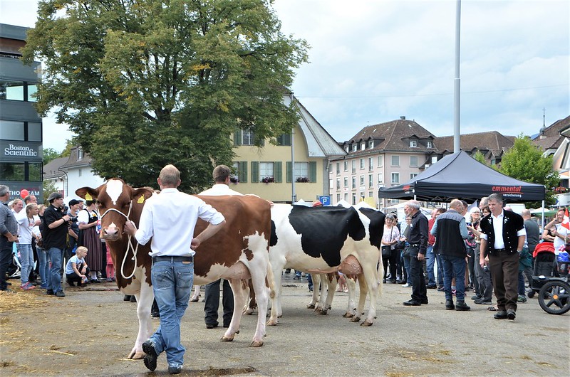 Cheese Days Solothurn 06.09 (45)