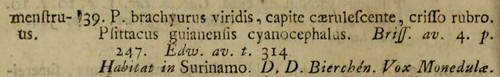 1766 Syst nam Psittacus menstruus blue-headed parrot