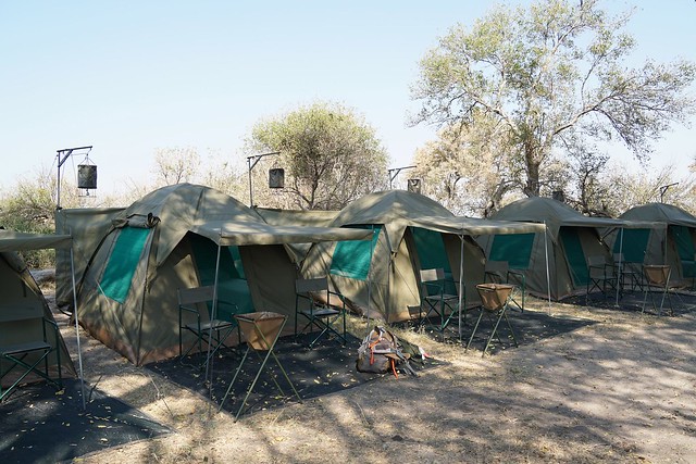 Del Kalahari al delta del Okavango, el corazón de Botswana - BOTSWANA, ZIMBABWE Y CATARATAS VICTORIA: Tras la Senda de los Elefantes (23)