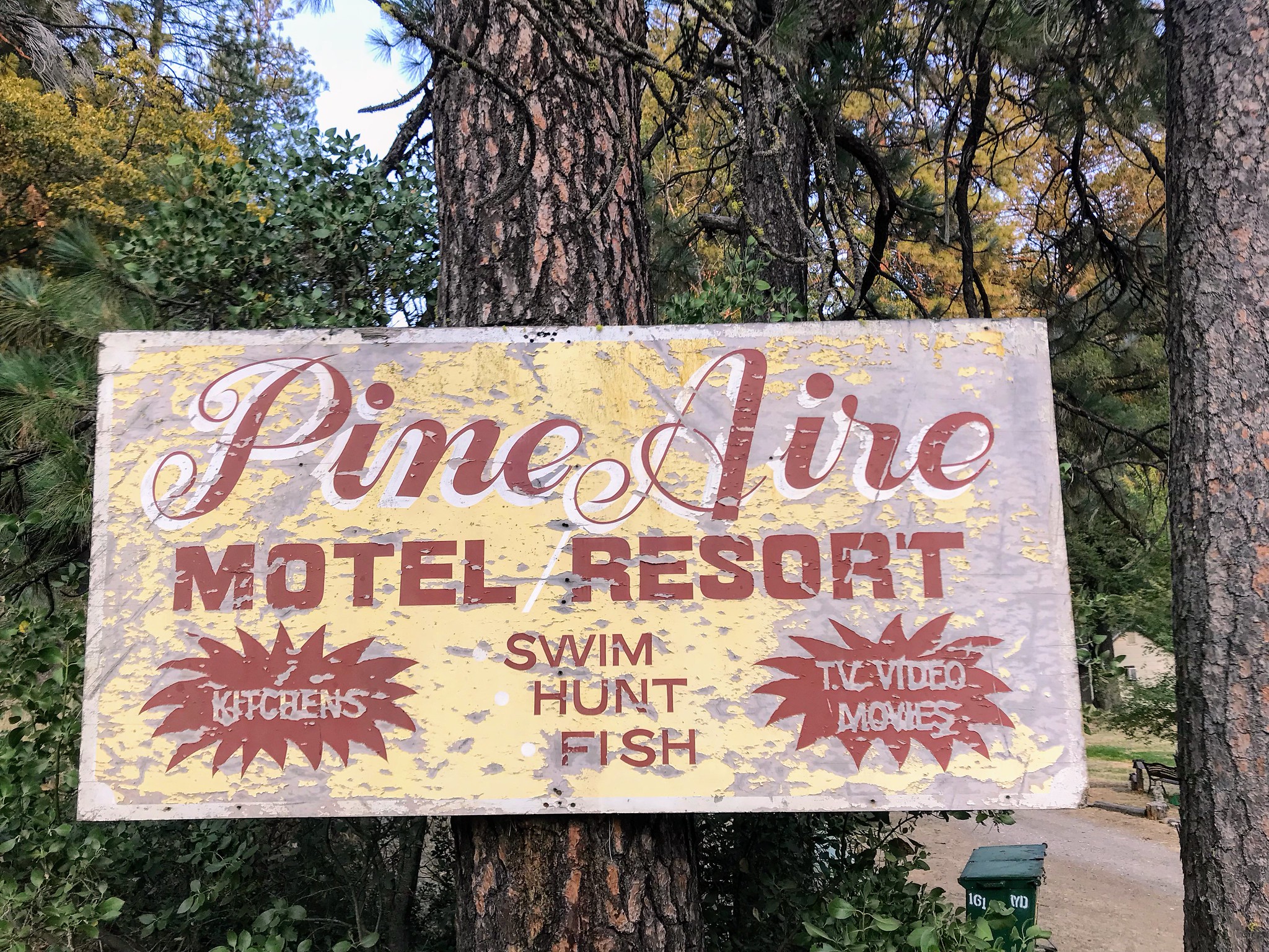 Pine Aire Resort