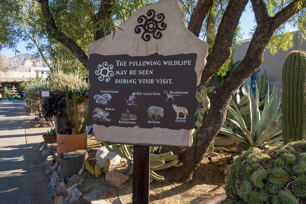 Wildlife warning signs at Hacienda del Sol