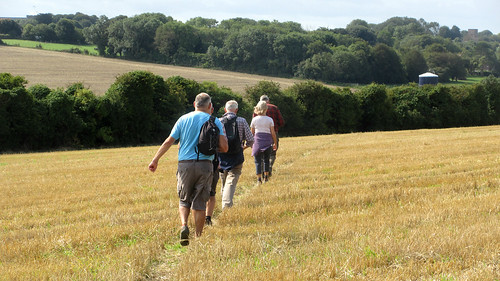 A long walk to gather sloes