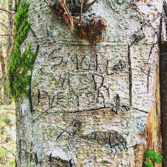 Tree messages 💚