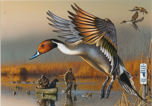 2018 Federal Duck Stamp Contest Entry 104