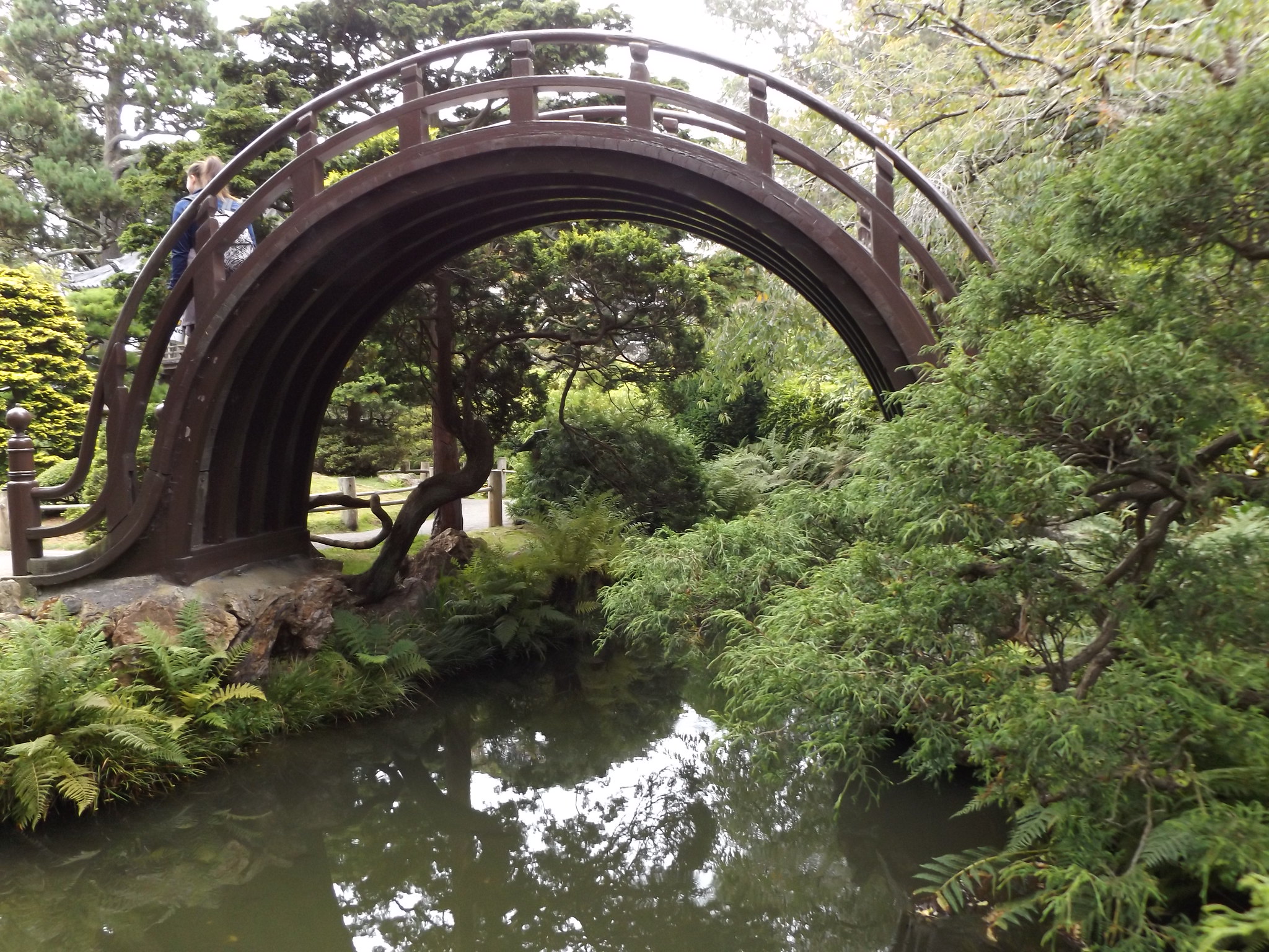 Drum Bridge, Japanese Tea Garden, Golden Gate Park, San Francisco, California, USA, 3 September 2018