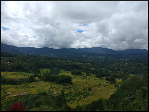Sulawesi, descubriendo las tradiciones Tana Toraja - Indonesia en 2 semanas: orangutanes, templos y tradiciones (61)