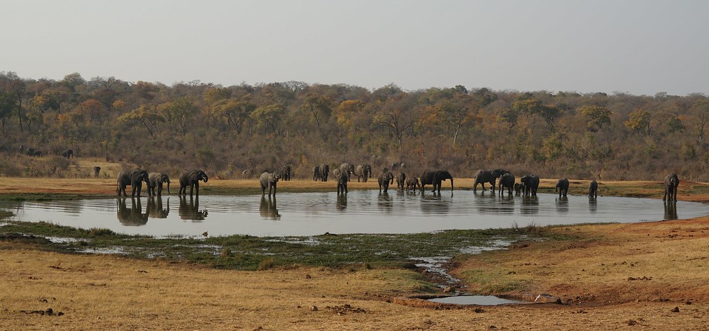 El largo viaje hacia Hwange, la puerta al reino de los elefantes - BOTSWANA, ZIMBABWE Y CATARATAS VICTORIA: Tras la Senda de los Elefantes (6)