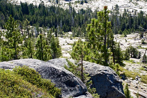 californiastatehighway88 mountains trees roadtrip california sierranevada highsierra