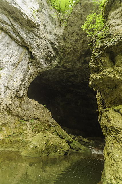Rakov Škocjan, el valle de las cuevas y los puentes naturales, Naturaleza-Eslovenia (7)
