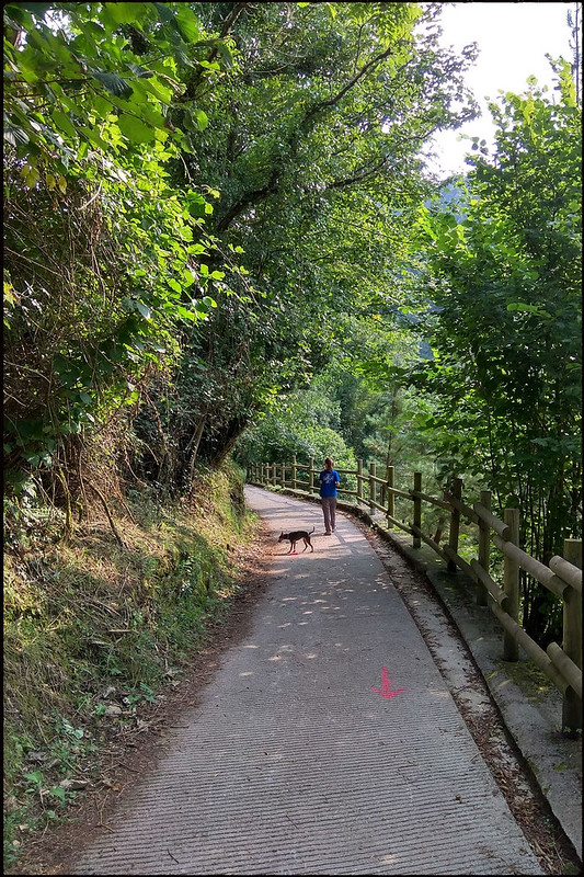Parque Natural de Somiedo - Blogs de España - 20 de agosto, lunes: Lagos de Saliencia y Cercado del lobo de Belmonte (21)