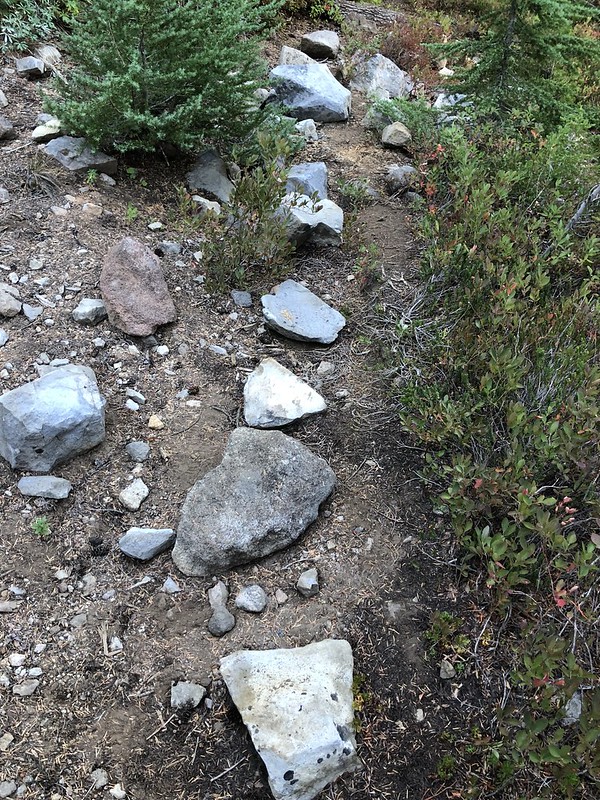 Rocks on trail