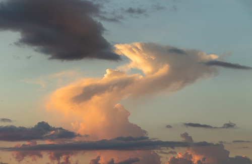 summer tn tennessee clouds sunset dragon