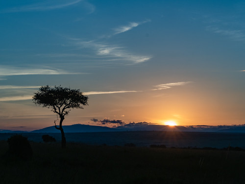sunrise oloolologate paysage june kenia masaimaranp nature narokcounty kenya ke