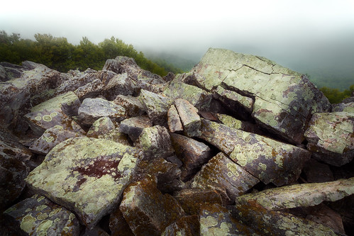 appalachian shenandoah usa landscape virginia geology nature scenic mountains fog overcast nationalpark summer lichen rocks gallery:rating=5