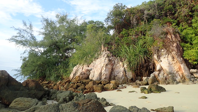 Coastal forest and natural cliffs of Pulau Tekukor