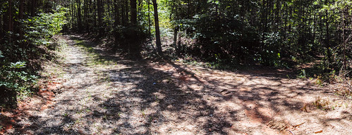Intersection with waterfall loop trail