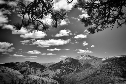 hills mountains pingreepark landscape pinetree colorado blackandwhite scenery