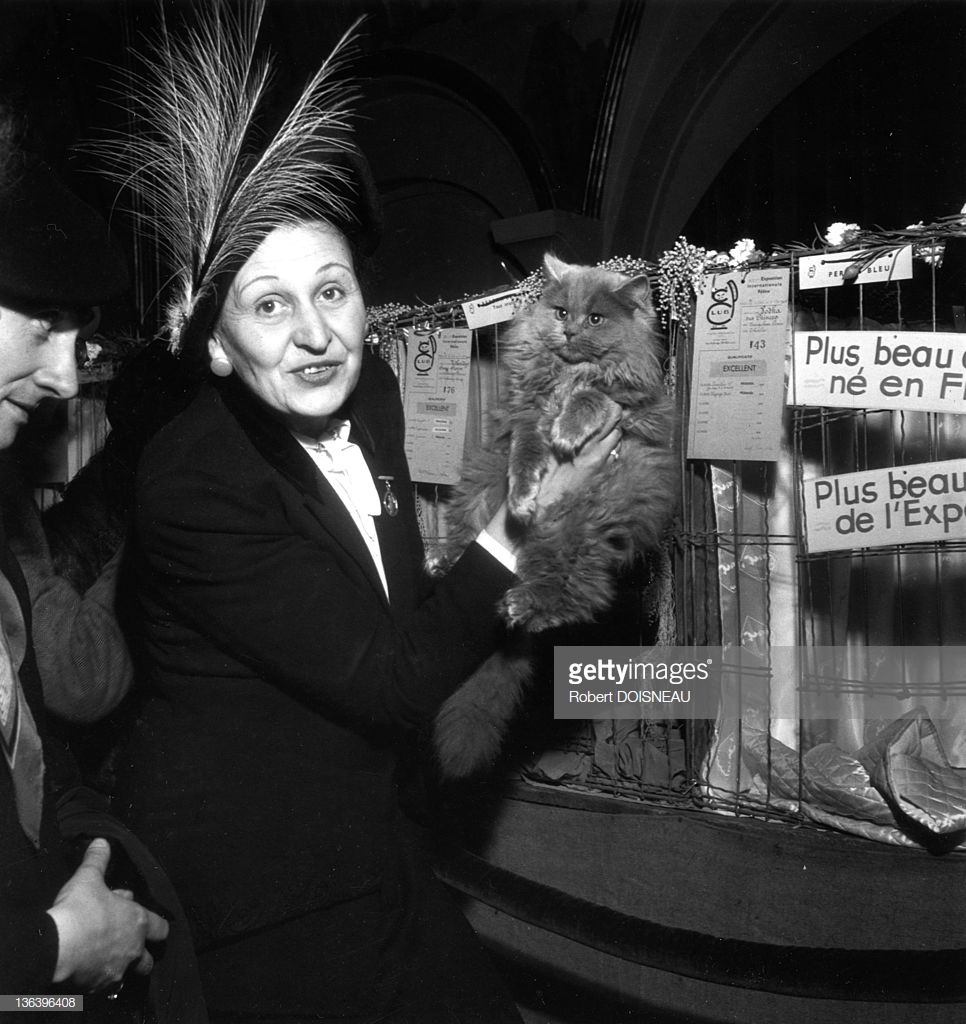 1946. Женщина со своей кошкой во время конкурса на самую красивую кошку