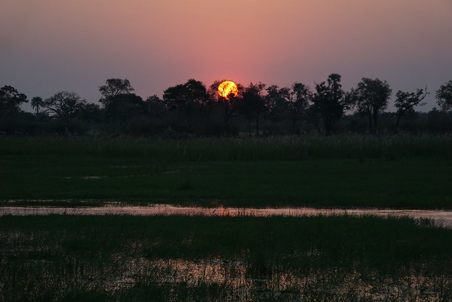 Del Kalahari al delta del Okavango, el corazón de Botswana - BOTSWANA, ZIMBABWE Y CATARATAS VICTORIA: Tras la Senda de los Elefantes (1)