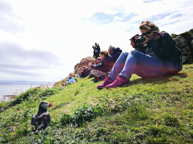 Etapa 4. Excursión a Staffa y Iona con Staffatours - 10 días de ruta por Escocia con niña de 7 años (11)