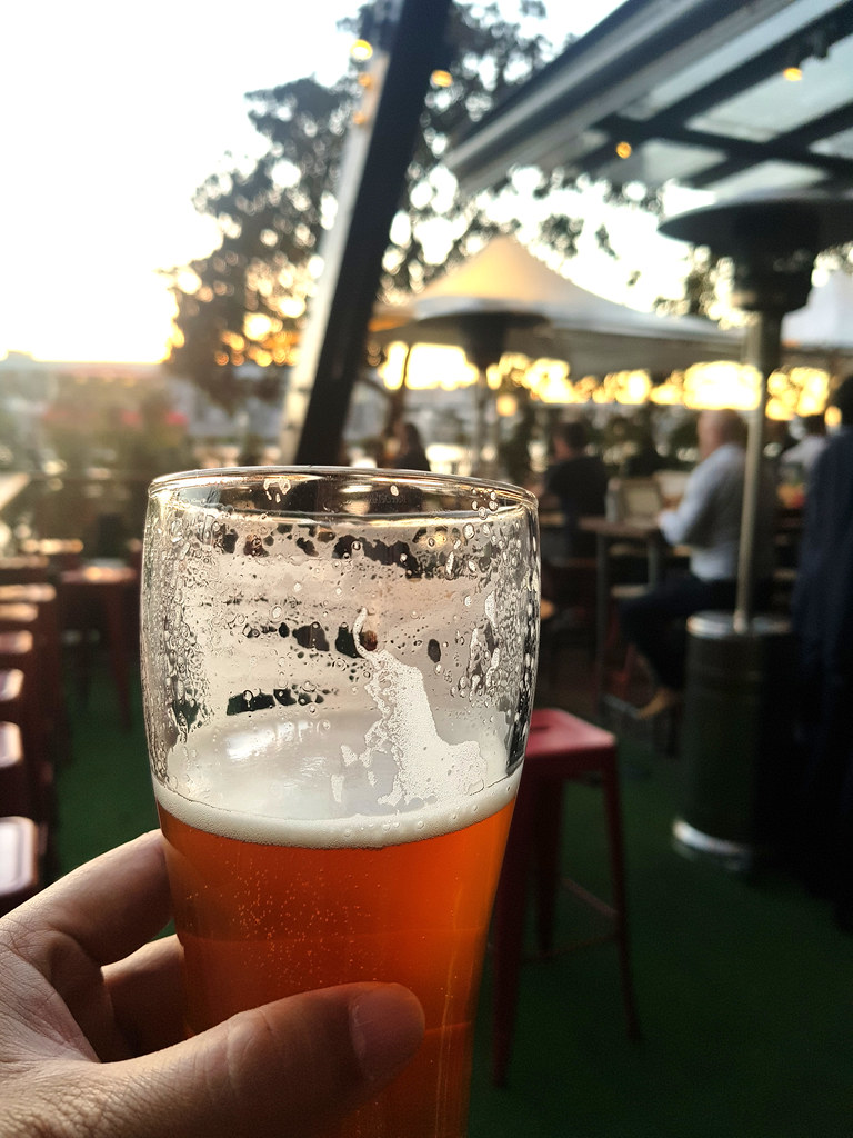 Modus Pale Ale AUD$6 @ Beer Deluxe (near King Street Wharf) Sydney