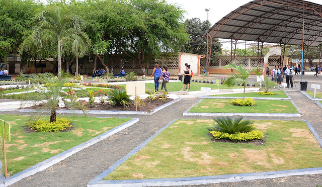 Recuperación de áreas verdes, un aporte del municipio de Chone