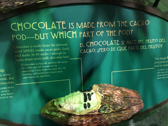 Chocolate exhibit
