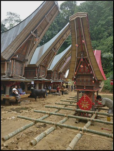 Indonesia en 2 semanas: orangutanes, templos y tradiciones - Blogs de Indonesia - Sulawesi, descubriendo las tradiciones Tana Toraja (13)