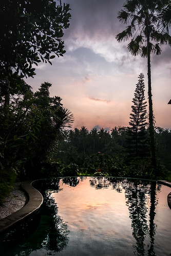 sky trees forest bali ubud indonesia sunset dusk crepuscule landscape paysage reflet reflection
