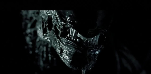 Alien vs Predator - screenshot 24