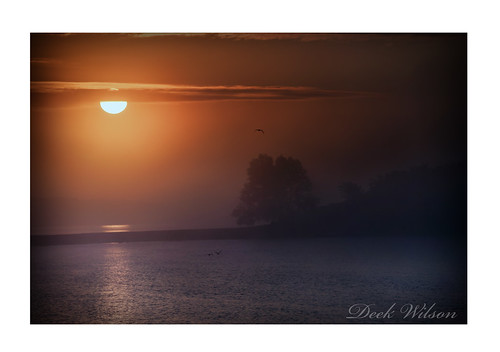 islandhill sunrise strangfordlough ardspeninsula newtownards comber silhouette northernireland