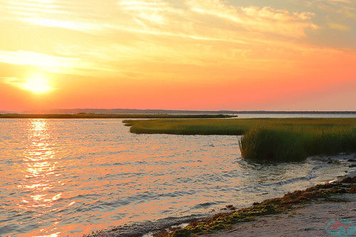 canon sl2 sunset sea grass sky sun water sand landscape