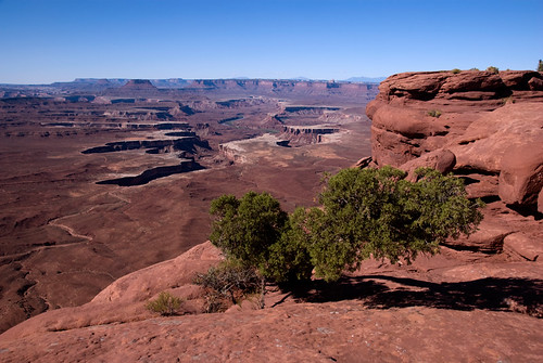 Island in the Sky sandstone formations at Canyonlands National Park in Utah, USA