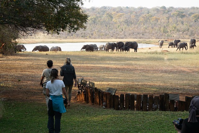 El largo viaje hacia Hwange, la puerta al reino de los elefantes - BOTSWANA, ZIMBABWE Y CATARATAS VICTORIA: Tras la Senda de los Elefantes (2)
