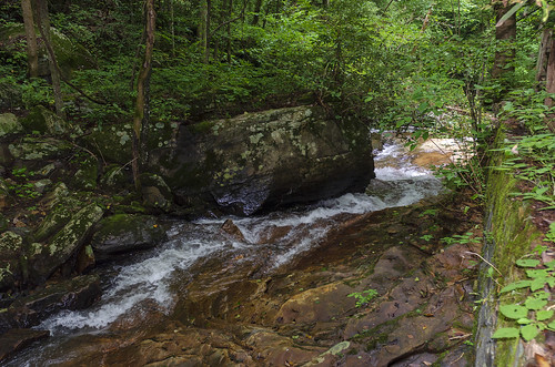 north pacolet river saluda carolina the south water forest woods hike hiking outdoor landscape