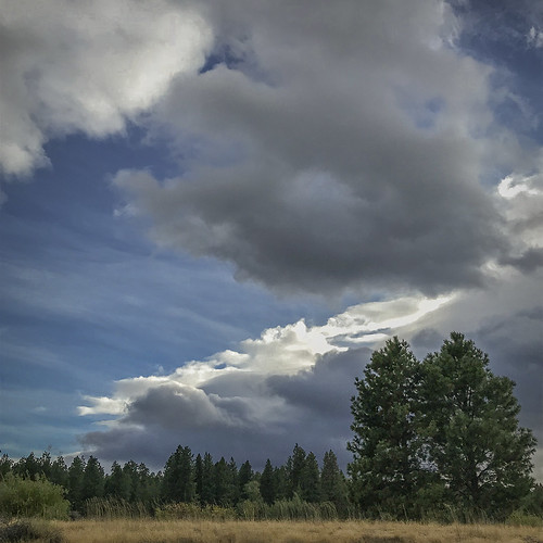 cloudporn oregon sisters blackbutteranch trees bluesky landscape almostfall summer