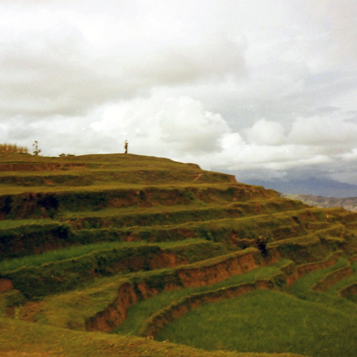 nepal kathmandu rice terrace terraces fields himlayas