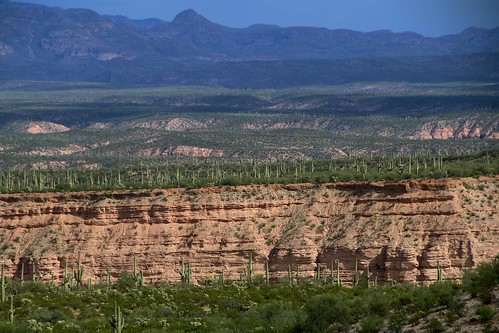 2016 arizona cacti desert gps landscapes mountains panoramio pinalcounty saguarocactuscarnegieagigantea sanpedrorivervalley usa unitedstatesofamerica